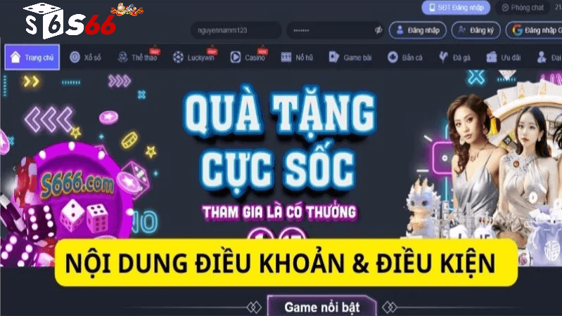 Điều kiện điều khoản S666