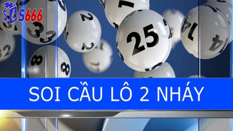 Rủi Ro Khi Chọn Sai Nhà Cái
